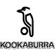 Click here for our Kookaburra cricket collection