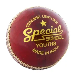 Readers Special School Junior Cricket Ball